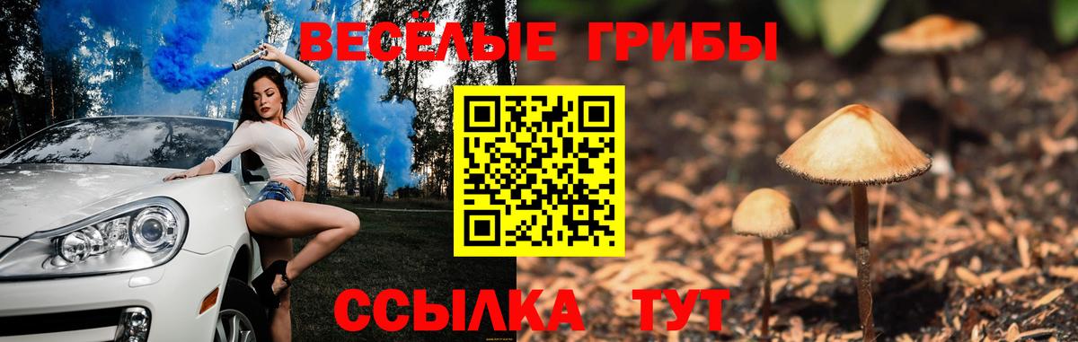 Лабинск  Псилоцибиновые грибы мухоморы  Вход с VPN 