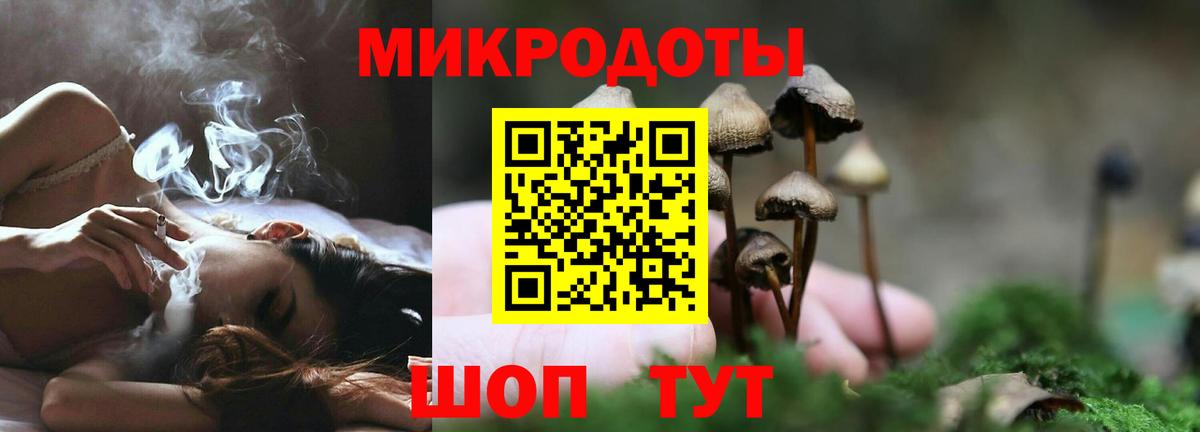 Псилоцибиновые грибы Magic Shrooms Лабинск